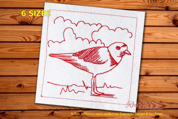 Ringed Plover Machine: A Designer's Review